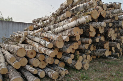 Березовые дрова