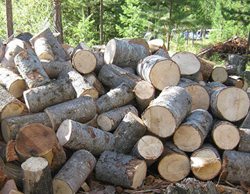 Дрова смешанные пиленные в чурках - 100 руб. за м.куб.