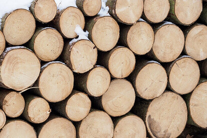 Дрова из сосны и ёлки