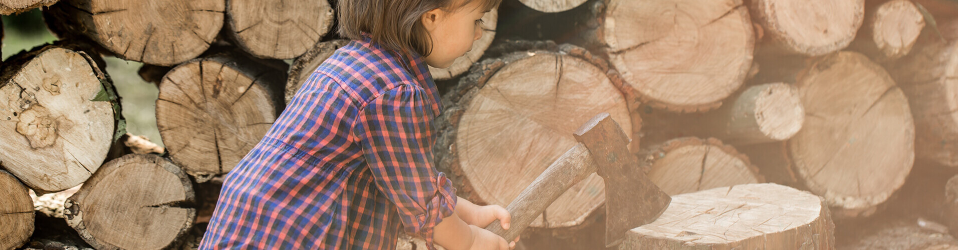 Дрова из хвойных пород дерева