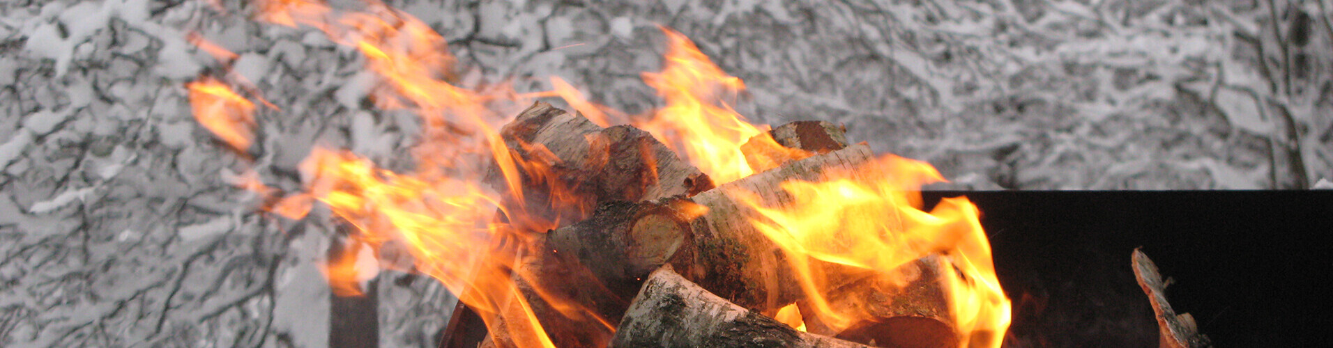 Дрова колотые березовые