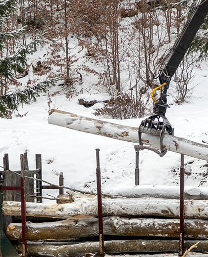 О компании «Центр дров»